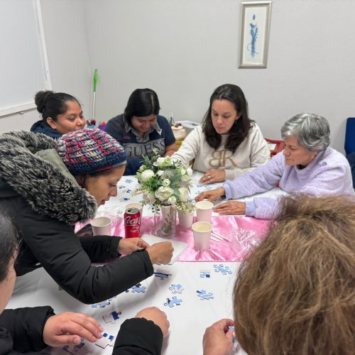 WhatsApp Image 2024-12-13 at 11.23.50 AM