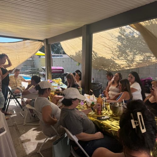 WhatsApp Image 2024-12-13 at 11.31.48 AM (1)