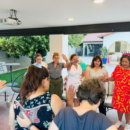 WhatsApp Image 2024-12-13 at 11.31.48 AM