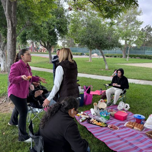 WhatsApp Image 2024-12-13 at 11.51.25 AM