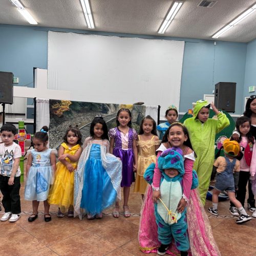 WhatsApp Image 2024-12-13 at 12.15.07 PM (5)