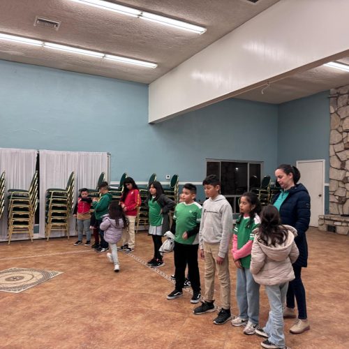 WhatsApp Image 2024-12-13 at 12.15.07 PM