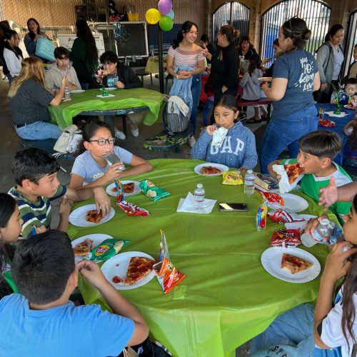 WhatsApp Image 2024-12-13 at 12.15.09 PM (1)