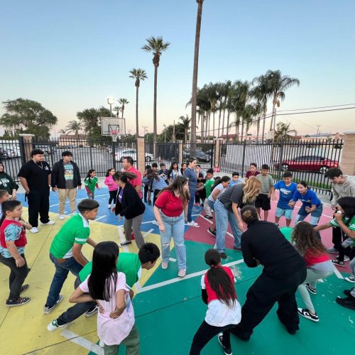 WhatsApp Image 2024-12-13 at 12.15.09 PM (3)