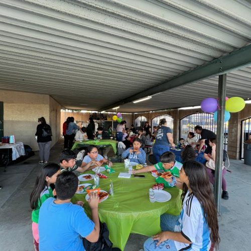 WhatsApp Image 2024-12-13 at 12.15.09 PM