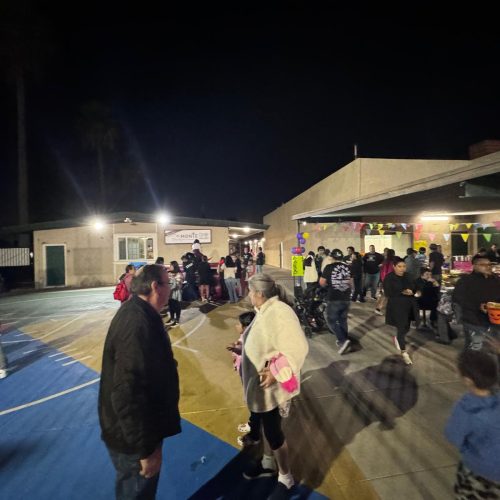 WhatsApp Image 2024-12-15 at 9.26.49 PM