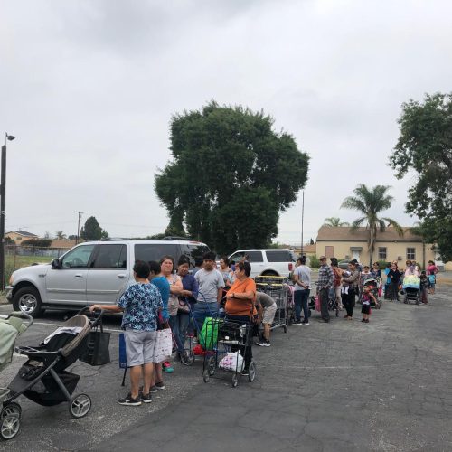 WhatsApp Image 2025-05-01 at 13.50.02_16eed5bb