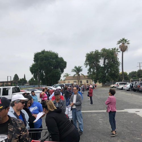 WhatsApp Image 2025-05-01 at 13.50.02_65460579