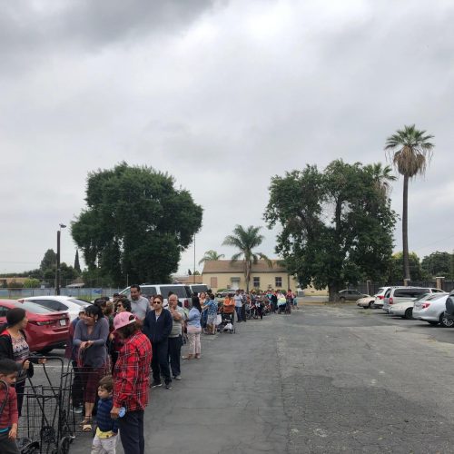 WhatsApp Image 2025-05-01 at 13.50.02_dffe4510