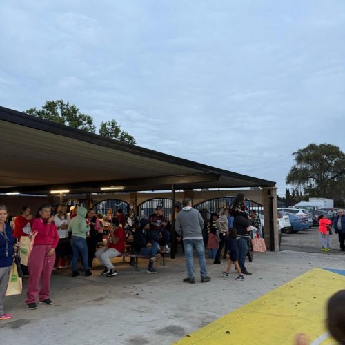 WhatsApp Image 2026-01-06 at 11.05.47 AM (5)