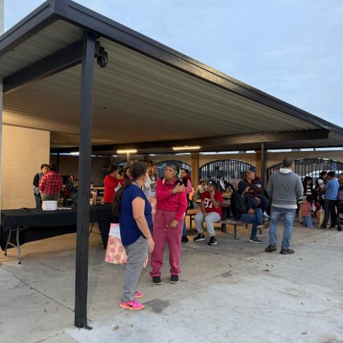 WhatsApp Image 2026-01-06 at 11.05.57 AM (2)