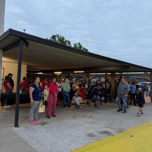 WhatsApp Image 2026-01-06 at 11.05.58 AM